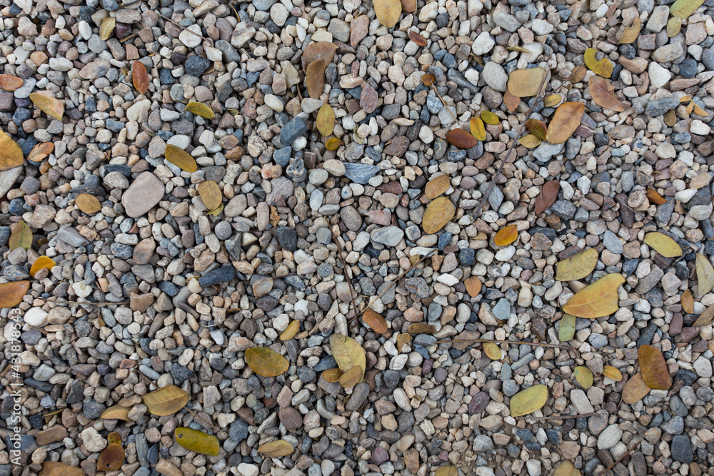 Pebbles and leaves texture background Pebbles and leaves texture background