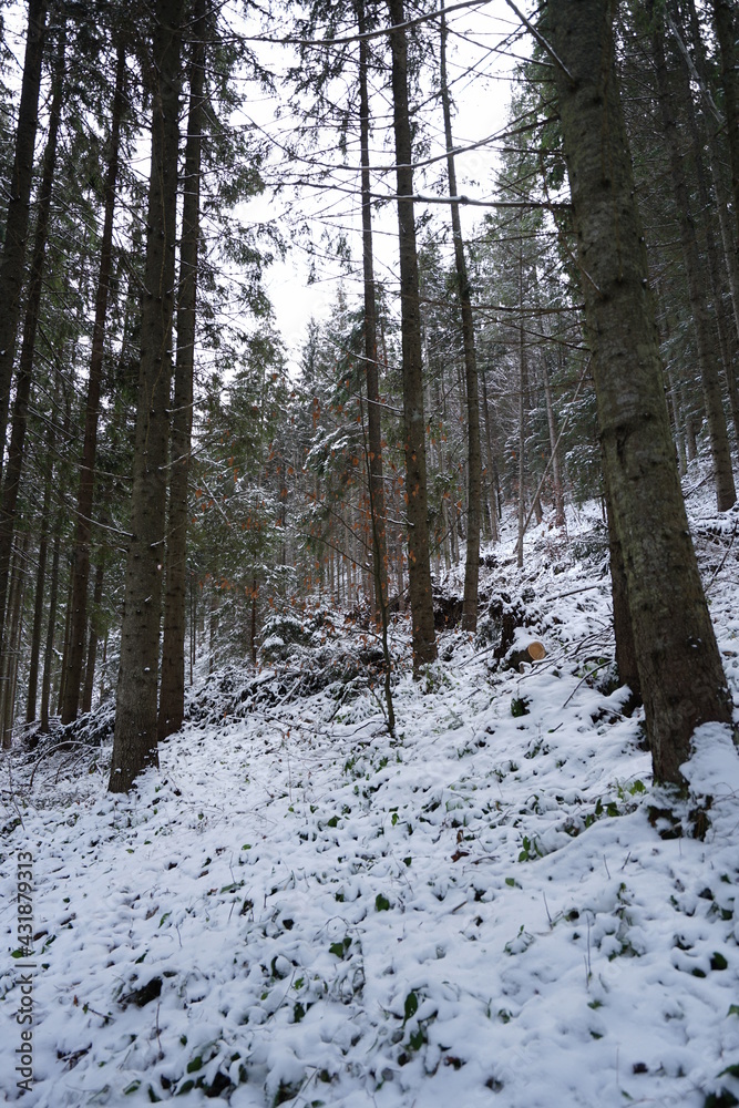 Fototapeta premium Winter mountains