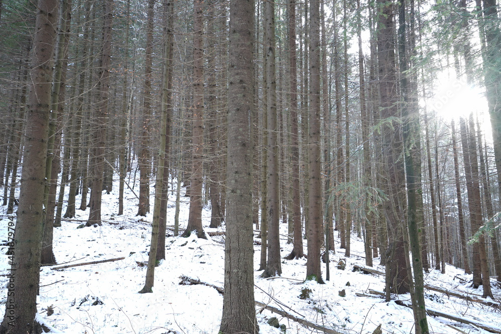 Fototapeta premium Winter mountains