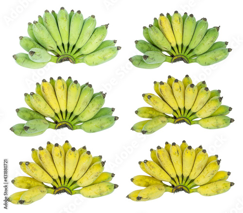 Namwa or Cultivated bananas (Musa sapientum), Bunch of bananas isolated on white background. photo