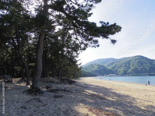 気比の松原(福井県敦賀市)