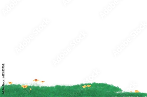 Lawn and flower illustration in summer