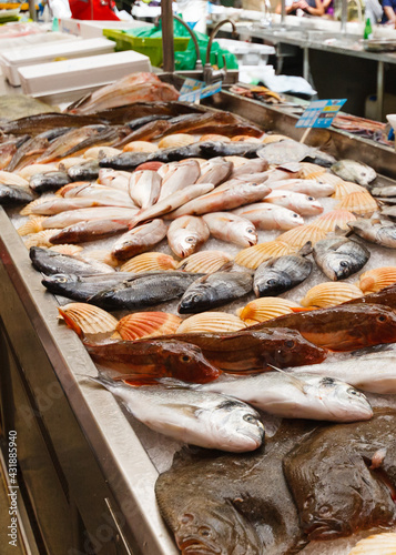 Pescados y mariscos en la lonja de Pontevedra. Fish and seafood in the Pontevedra fish market photo