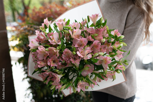 Pink alstoemeria photo