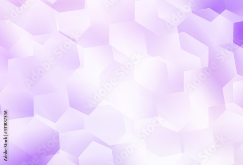 Light Purple vector background with hexagons.