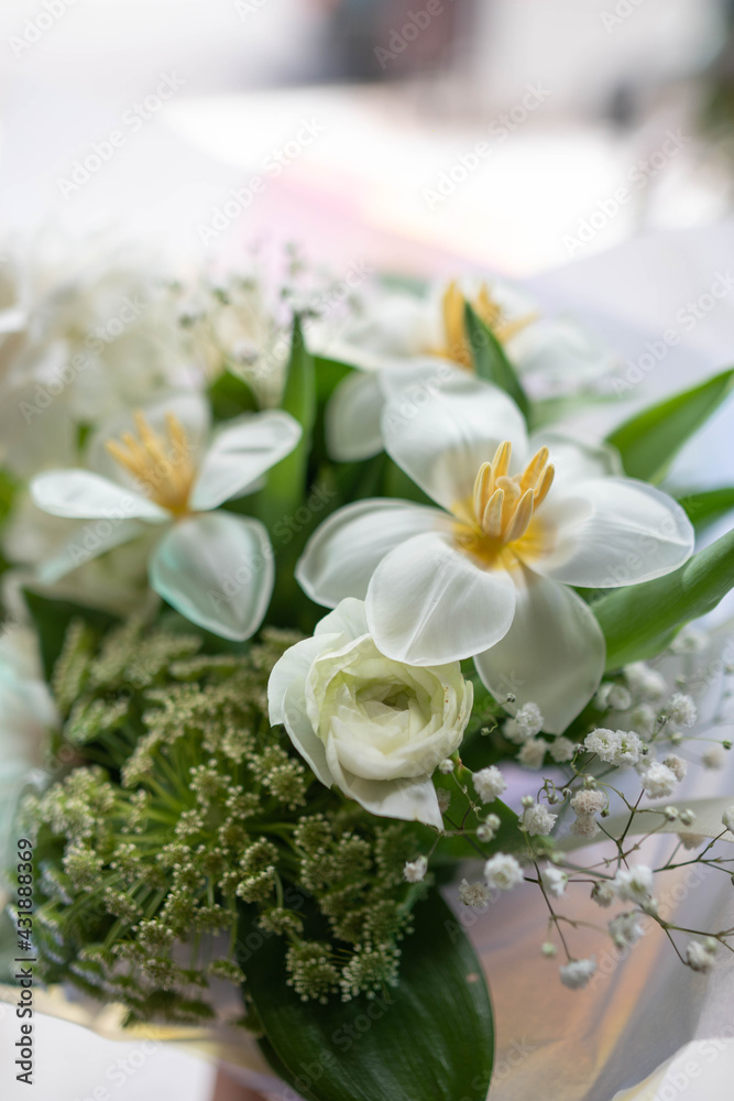 bouquet of tulips, bouquet of red tulips, bouquet of curly tulips,bouquet of white tulips. bouquet of tulips, bouquet of red tulips, bouquet of curly tulips,bouquet of white tulips.