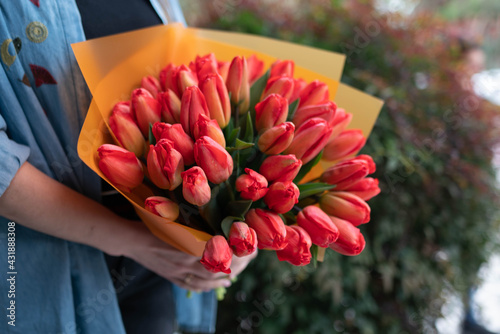 bouquet of tulips, bouquet of red tulips, bouquet of curly tulips,bouquet of white tulips. photo