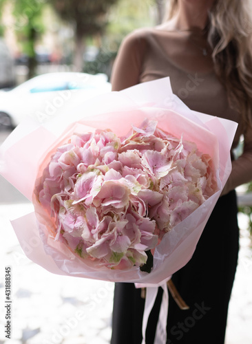 hydrangea, hydrangea bouquet, pink hydrangea photo