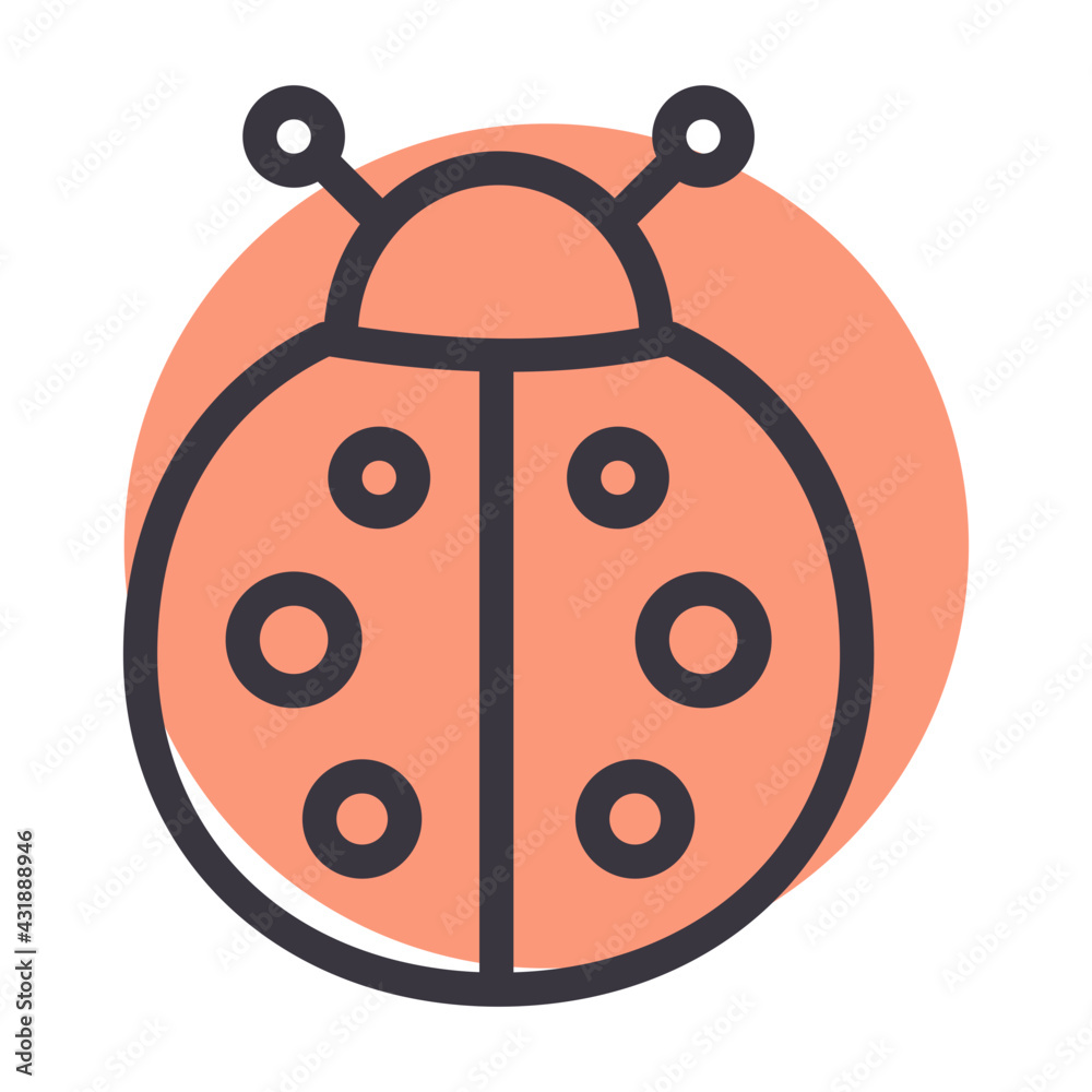 lady bug lady bug