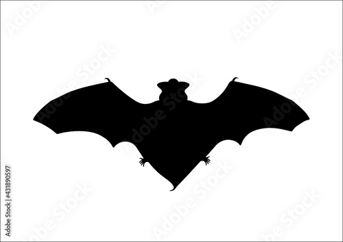 Silhouette Pipistrello
 photo