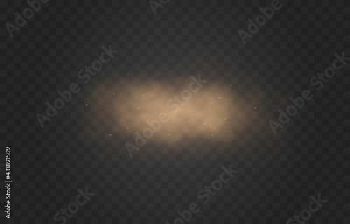 Vector sandy dust cloud. Clouds with dust particles. Sandstorm on an isolated transparent background. PNG. 