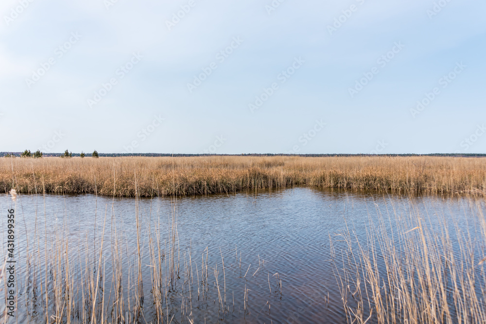 A Lake at a Wetland in Latvia in Early Spring A Lake at a Wetland in Latvia in Early Spring