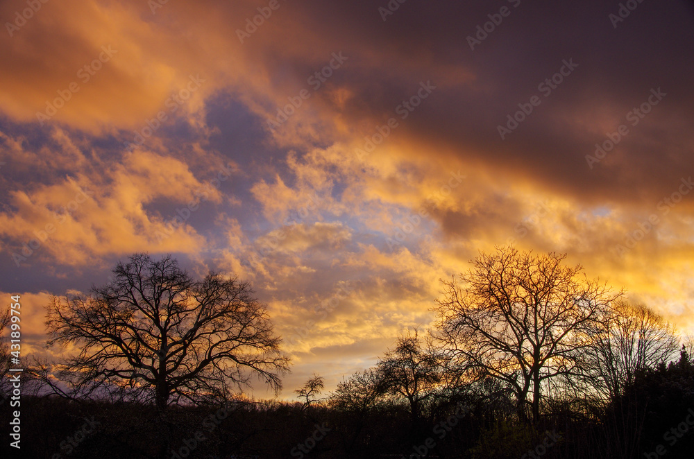 colorful spring sunset with trees in background, cloudy sky.