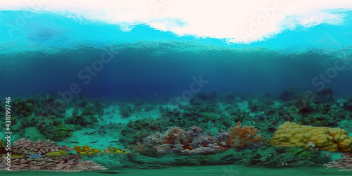 Tropical Fishes on Coral Reef, underwater scene. Philippines. 360 panorama VR © Alex Traveler