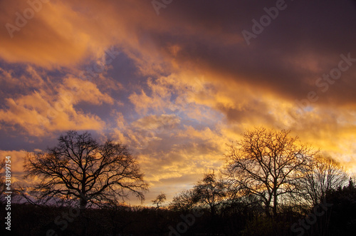 colorful spring sunset with trees in background  cloudy sky.