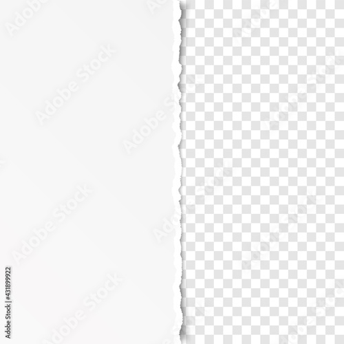 vector torn paper with ripped edges with space for your text