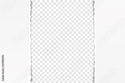 vector torn paper with ripped edges with space for your text
