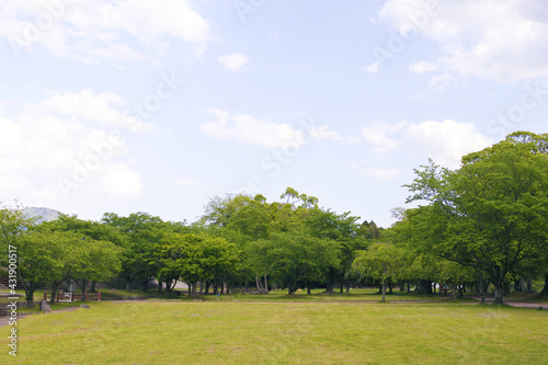 芝生の広場と青空