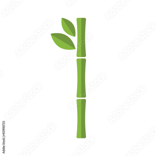 Bamboo vector flat illustration