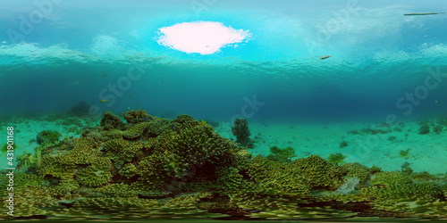 Colourful tropical coral reef. Scene reef. Marine life sea world. Philippines. Virtual Reality 360.