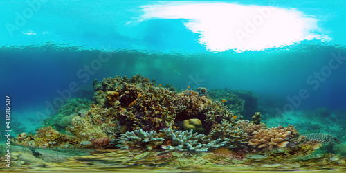 Fototapeta Naklejka Na Ścianę i Meble -  Underwater Scene Coral Reef. Coral Reefs Seascape. Underwater sea fish. Tropical fish reef marine. Philippines. Virtual Reality 360.