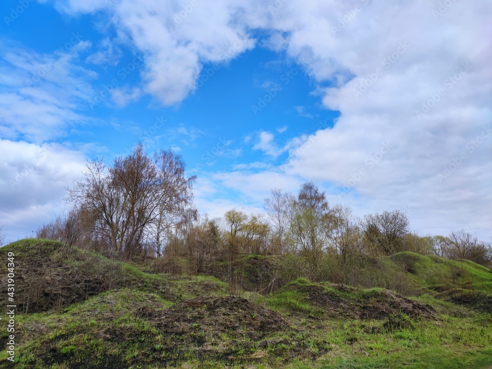 Landscape in the park in spring in sunny weather