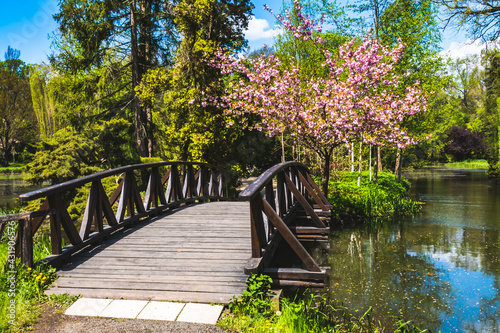 Views of Botanic garden in Vácrátót, Hungary