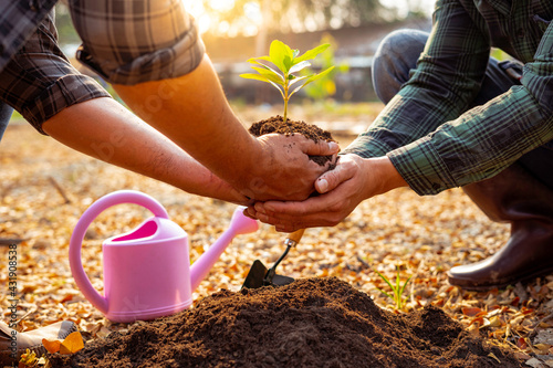 ..Volunteers plant trees while watering the plants in the garden. To reduce global warming problems Which is the concept of saving the earth, nature, environment, and ecology
