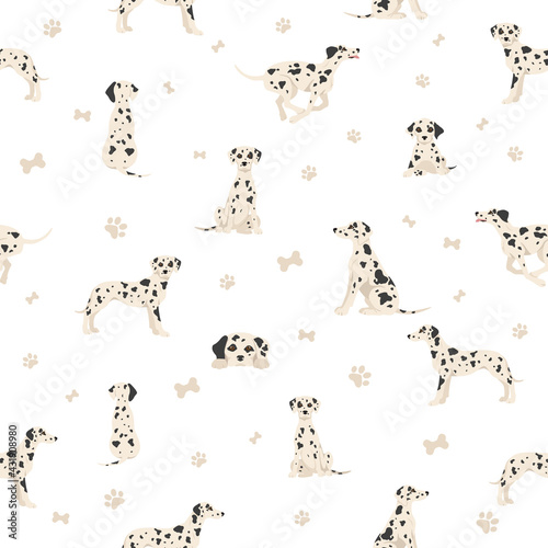 Dalmatian dogs seamless pattern. Different poses, coat colors set.