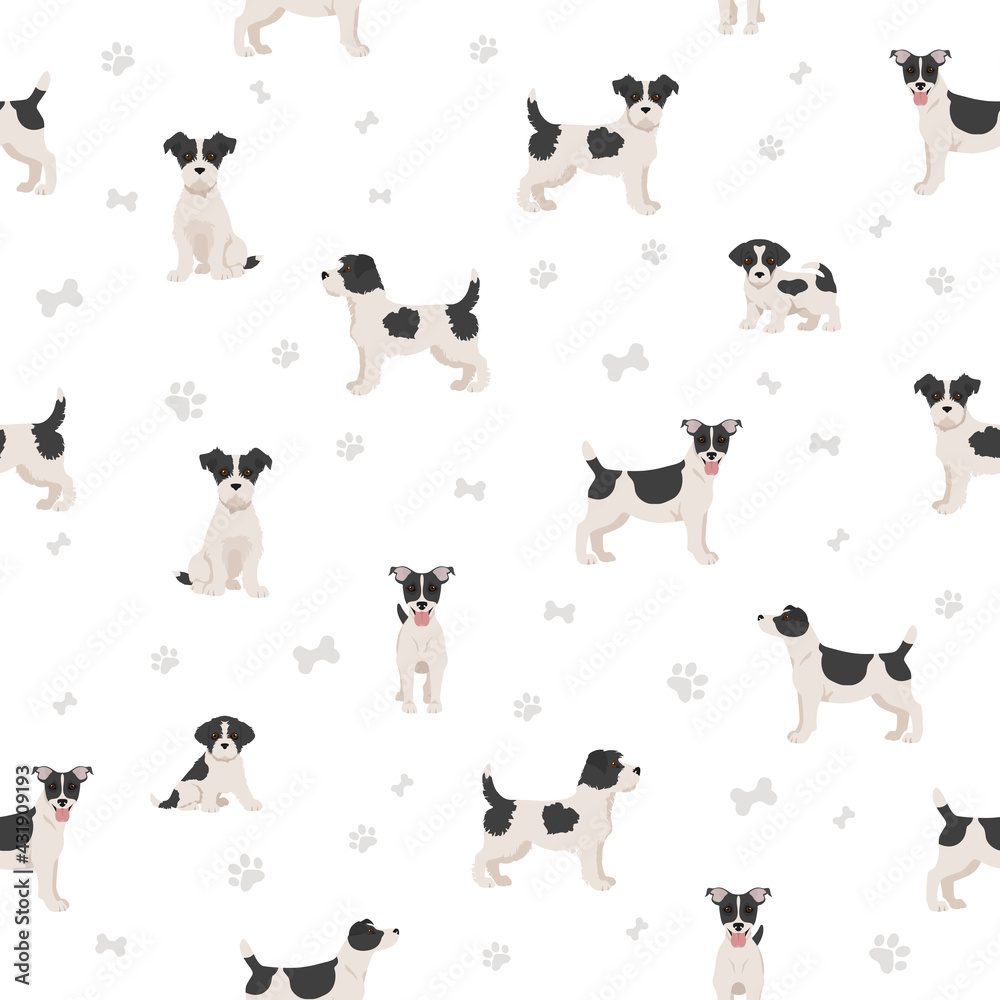Jack Russel terrier in different poses and coat colors seamless pattern