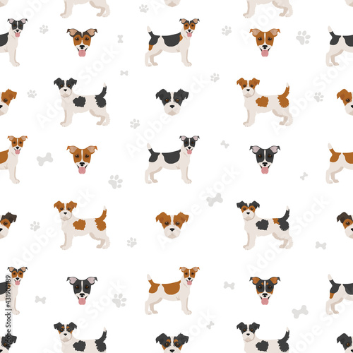 Jack Russel terrier in different poses and coat colors seamless pattern