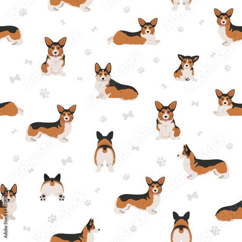 Welsh corgi pembroke seamless pattern. Different poses, coat colors set.