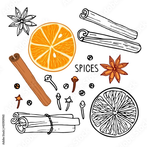 Spices collection. Mulled wine ingredients set. Hand drawn Winter elements. Doodle Outline vector illustration. Hot winter drink recipe. Organic product sketch. Flavor cooking ingredient