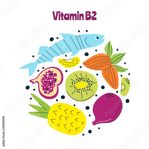 The main food sources of vitamin B2. Healthy food concept.