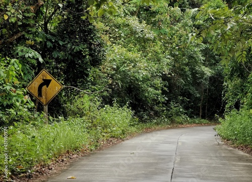 road in the park