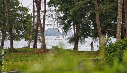 lake in the forest