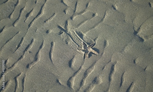 sand on the beach