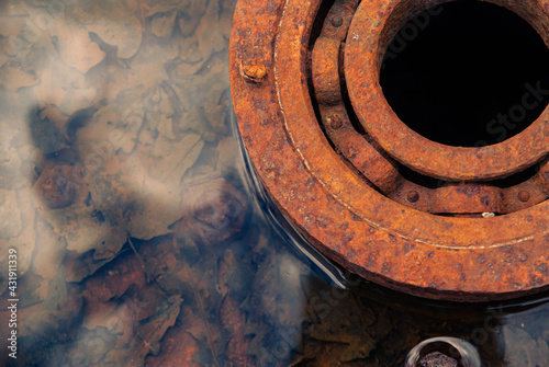 Autumn leaves under water in an old wheel, rusty wheel