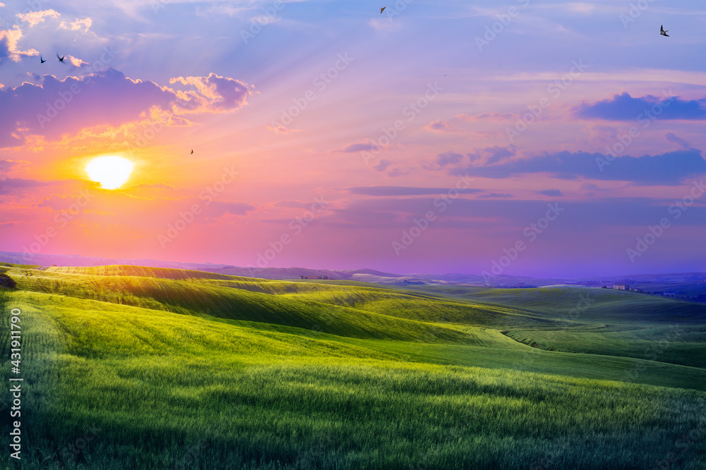 art sunset over countryside landscape. farmland field
