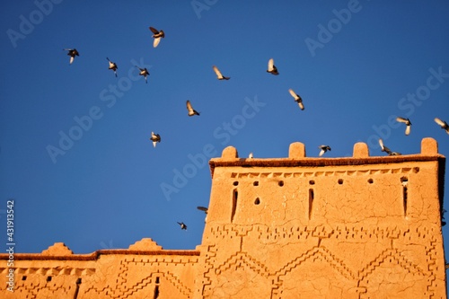 tower of castle with crowd bird
