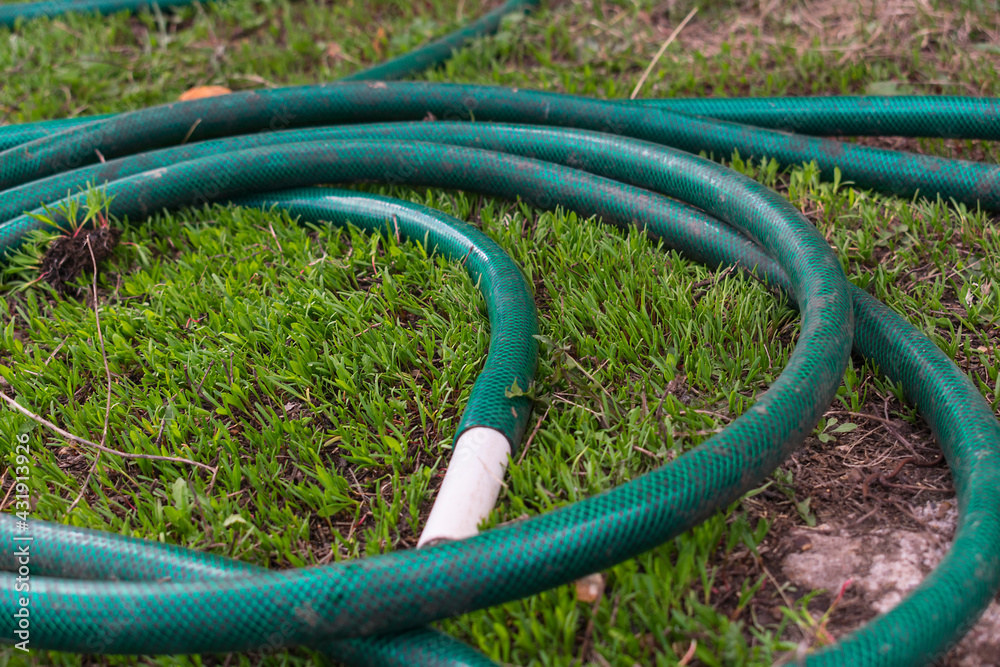 Reel of hose pipe and spraying head on grass. Stock Photo Adobe Stock