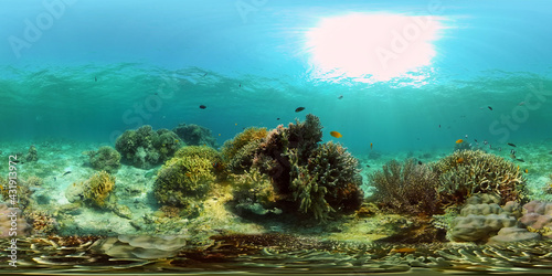 Fototapeta Naklejka Na Ścianę i Meble -  Underwater tropical colourful soft-hard corals seascape. Underwater fish reef marine. Philippines. 360 panorama VR