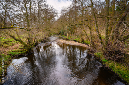 Devils Water flows through dense woodland, a river in Northumberland and is a tributary of the River Tyne, the confluence is between Hexham and Corbridge
