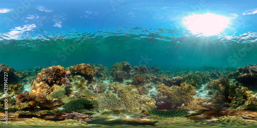Tropical coral reef seascape with fishes, hard and soft corals. Philippines. 360 panorama VR © Alex Traveler