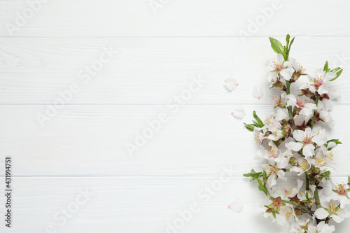 Fototapeta Naklejka Na Ścianę i Meble -  Blossoming spring tree branches as border on white wooden background, flat lay. Space for text