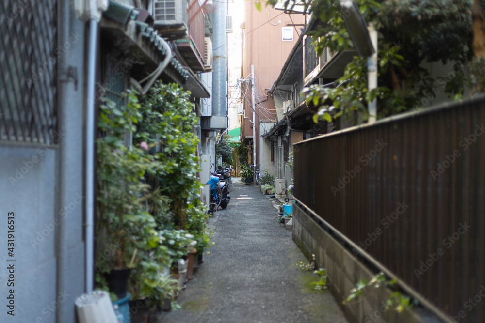 路地裏 路地裏