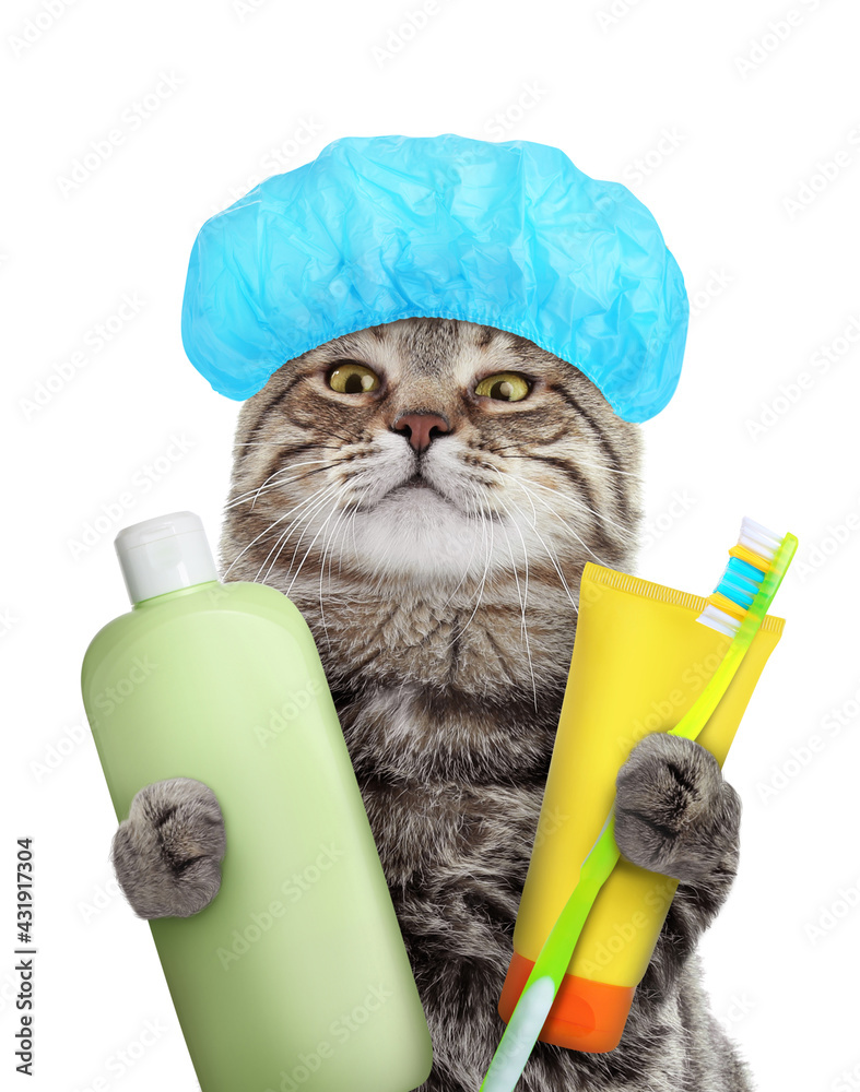 Cute funny cat with shower cap and different accessories for bathing on white background Stock
