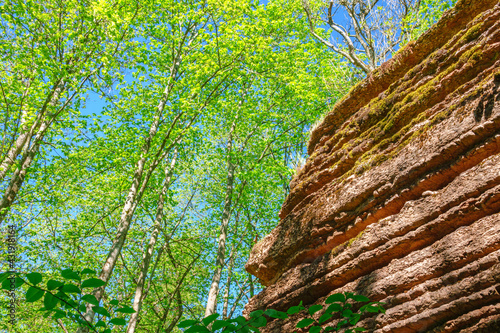 Rock wall in lush foliage forest in the summer photo