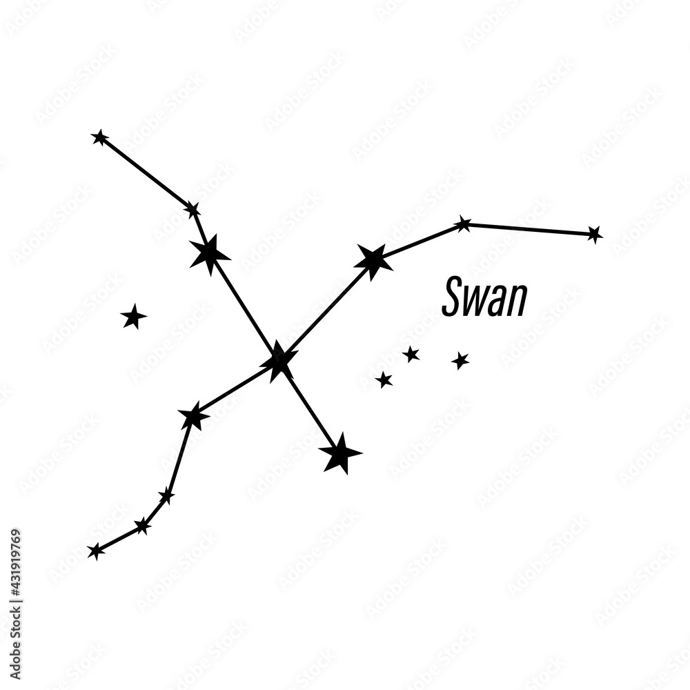Zodiac constellation. Space and stars. Vector illustration isolated on white background Zodiac constellation. Space and stars. Vector illustration isolated on white background