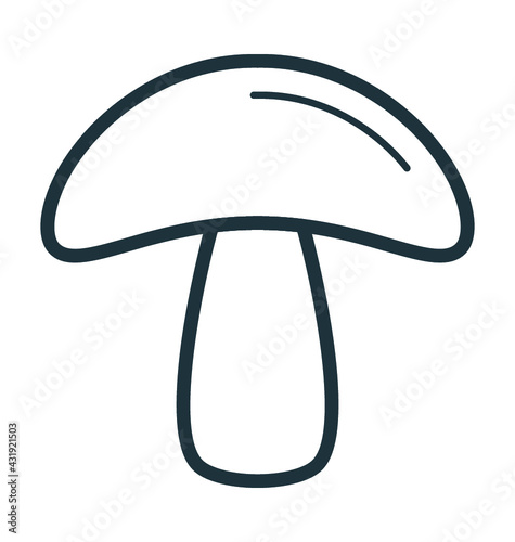 Common Mushroom 